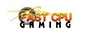 Fast cpu